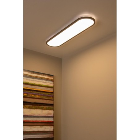 Plafonnier LED Elly (36W)