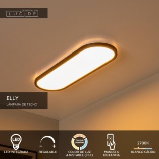 Plafonnier LED Elly (24W)