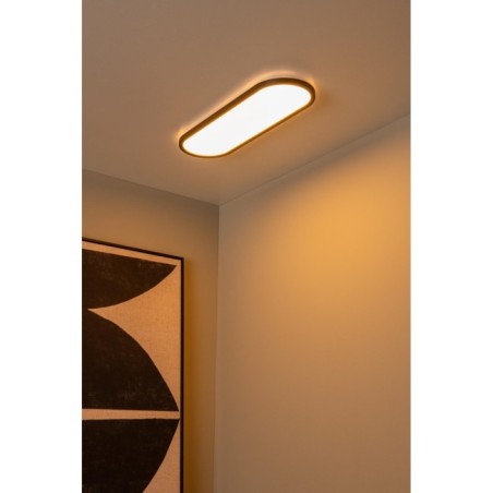 Plafonnier LED Elly (24W)