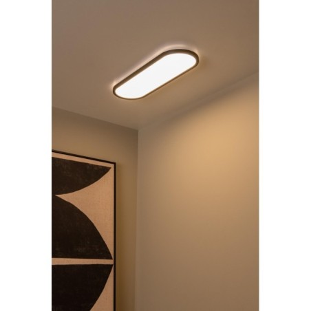 Plafonnier LED Elly (24W)