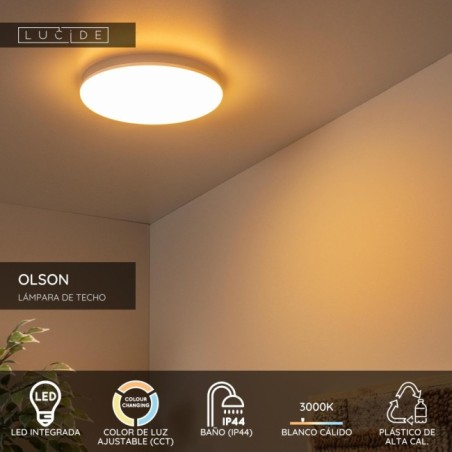 Plafonnier de plafond pour salles de bains LED Olson (24W)