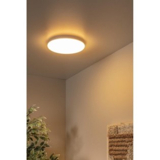 Plafonnier de plafond pour salles de bains LED Olson (24W)