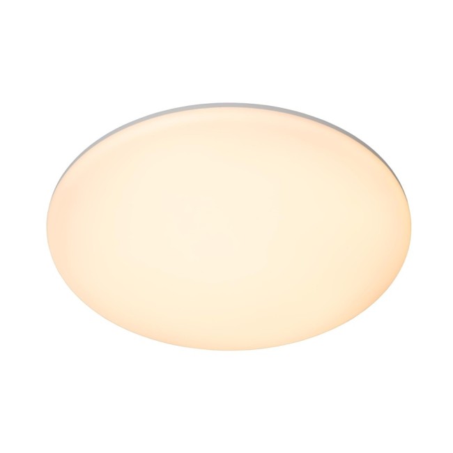 Plafonnier de plafond pour salles de bains LED Olson (36W)