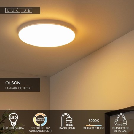 Plafonnier de plafond pour salles de bains LED Olson (36W)
