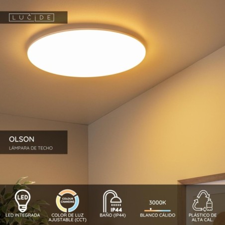 Plafonnier de plafond pour salles de bains LED Olson (45W)