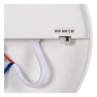 Plafonnier de plafond pour salles de bains LED Olson (45W)