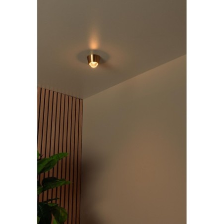 Plafonnier LED Rigon (7W)