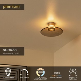 Plafonnier LED Santiago (10W)