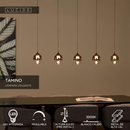 Suspension LED Tamino (5x5.6W)