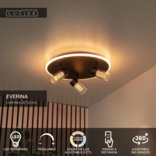 Plafonnier LED Everina (3x5W)