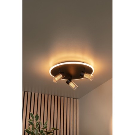 Plafonnier LED Everina (3x5W)