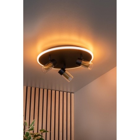 Plafonnier LED Everina (3x5W)