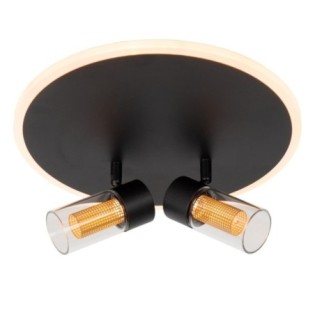 Plafonnier LED Everina (2x5W)