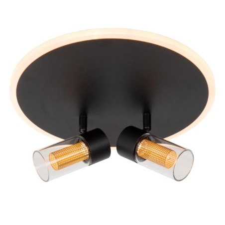 Plafonnier LED Everina (2x5W)