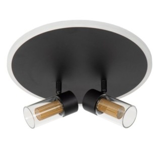 Plafonnier LED Everina (2x5W)