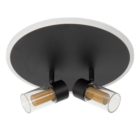 Plafonnier LED Everina (2x5W)