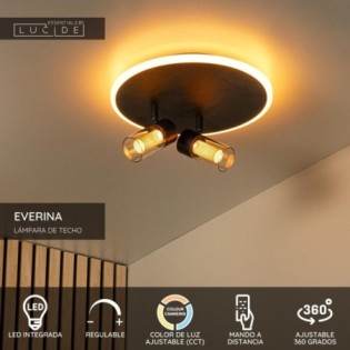 Plafonnier LED Everina (2x5W)