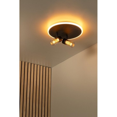 Plafonnier LED Everina (2x5W)