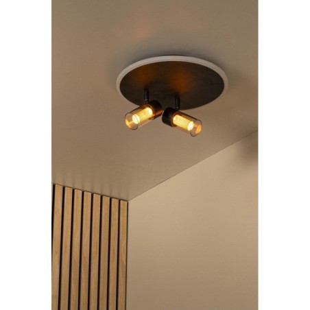 Plafonnier LED Everina (2x5W)