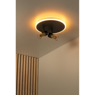 Plafonnier LED Everina (2x5W)