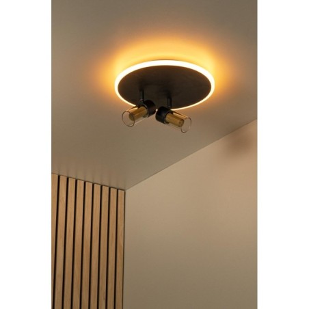 Plafonnier LED Everina (2x5W)