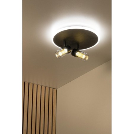 Plafonnier LED Everina (2x5W)