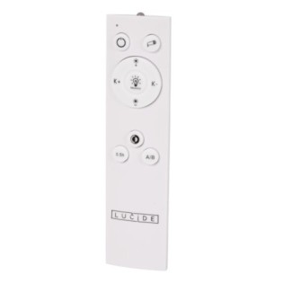 Plafonnier LED Everina (2x5W)