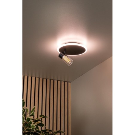 Plafonnier LED Everina (5W)
