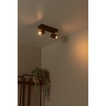 Plafonnier Amigo (2 lumières)