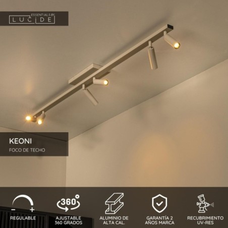 Plafonnier Keoni (6 lumières)