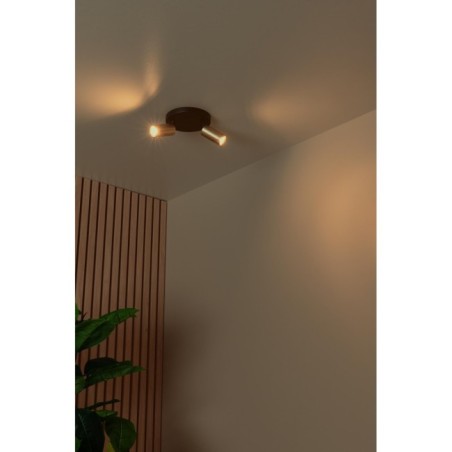 Plafonnier Ritmo (2 lumières)