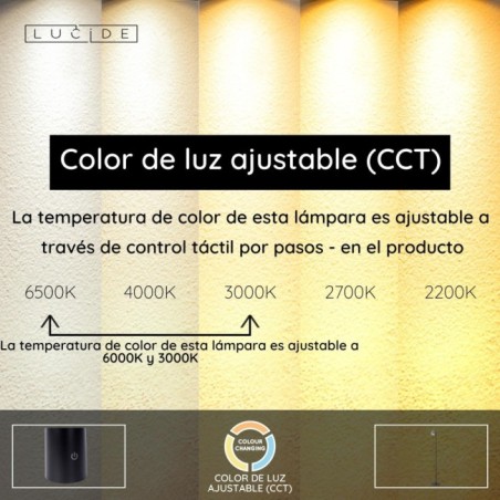 Lampadaire LED Skanska rech CCT (3W)