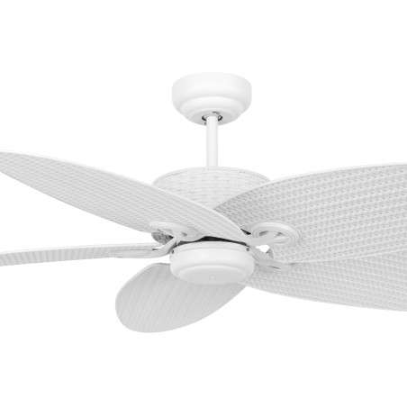 Ventilateur de plafond Fijian II