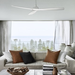 Ventilateur de plafond Moto