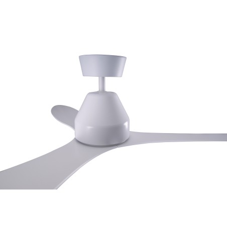 Ventilateur de plafond Whitehaven