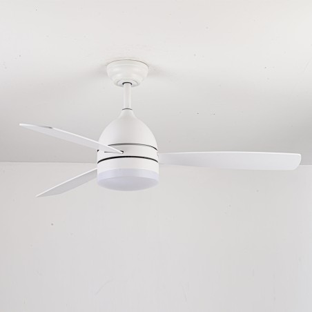 Ventilateur de plafond LED Vector CCT Dim (18W)