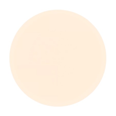 Plafonnier LED Vic 29 (23,50W)