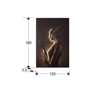 Tableau avec lumière LED Silueta (120x180cm.)