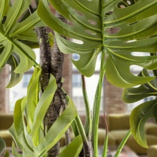 Plante Artificielle Monstera