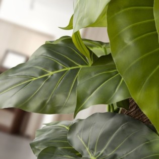 Plante Artificielle Taro