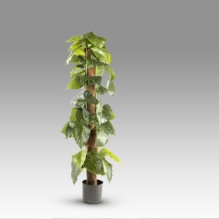 Plante Artificielle Taro