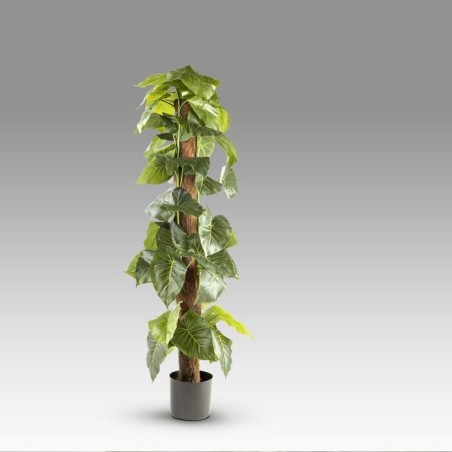 Plante Artificielle Taro