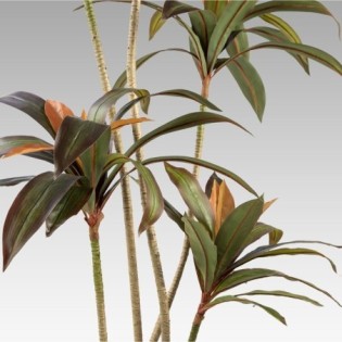 Plante Artificielle Dracena Rouge