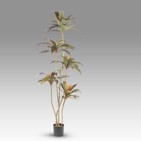 Plante Artificielle Dracena Rouge