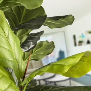 Plante Artificielle Figuier Violon