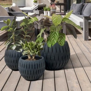 Cache-pot Yuca