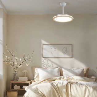 Ventilateur LED pales...