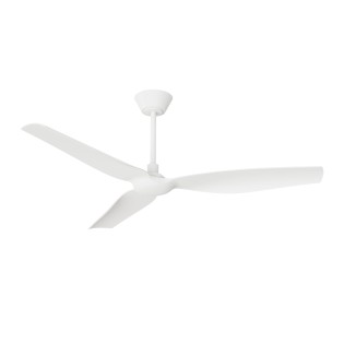 Ventilateur de plafond Ivy Neo