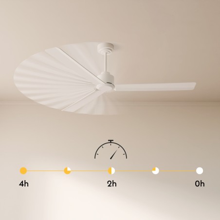 Ventilateur de plafond Nati M