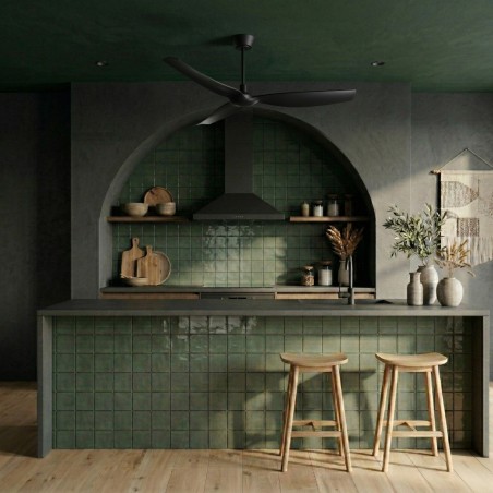 Ventilateur de plafond Ivy Neo Noir L